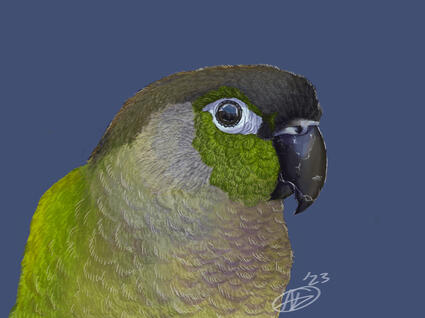 Realistic Animal Potrait